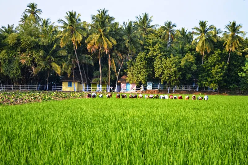 Image Trichy (Tiruchirappalli) - Rock Fort image beautiful image beautiful image beautiful image beautiful image beautiful image beautiful image beautiful - NGO News blog, NewsLine: Amour Cottages are located in a beautiful ...