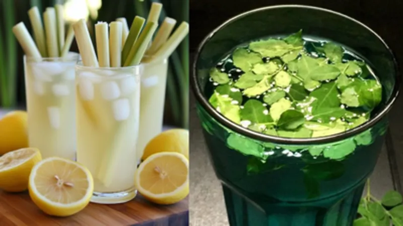 Image Vasan Bala image beautiful image beautiful image beautiful image beautiful image beautiful image beautiful image beautiful image beautiful image beautiful image beautiful - Lemongrass water vs Moringa water: Which is a better beauty drink ...